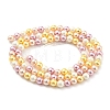 Electroplated Natural Shell Beads Strands SHEL-F008-03A-05-2