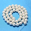 Round Shell Pearl Bead Strands BSHE-L011-6mm-A013A-3