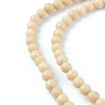 Natural Fossil Beads Strands X-G-E110-4mm-2-1