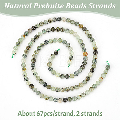 Olycraft 2 Strands Natural Prehnite Beads Strands G-OC0004-73-1