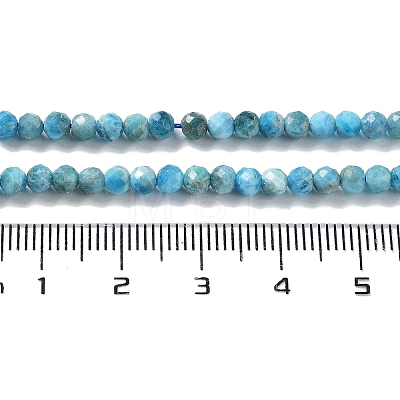 Natural Apatite Beads Strands G-J400-E01-01-1