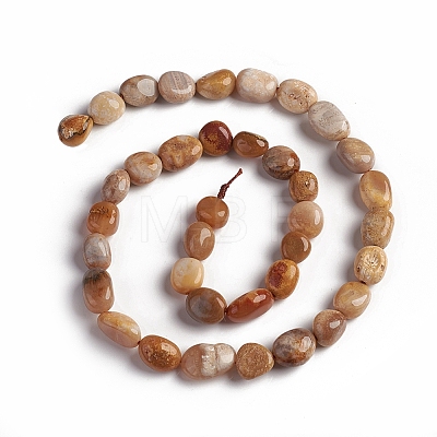 Natural Fossil Coral Beads Strands X-G-D0002-D78-1