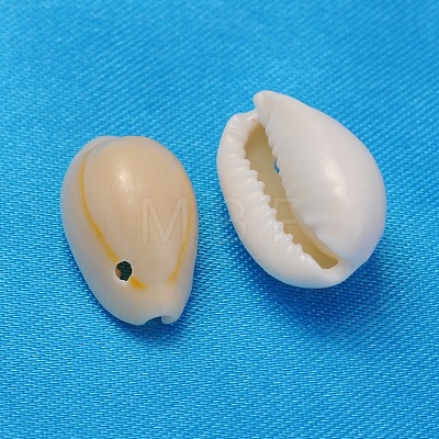 Natural Cowrie Shell Beads X-BSHE-S055-1