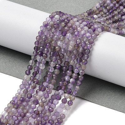 Natural Amethyst Beads Strands G-G189-D22-06-1