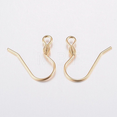 304 Stainless Steel Earring Hooks A-STAS-H436-04-1