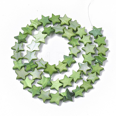 Freshwater Shell Beads Strands SHEL-T014-009C-1