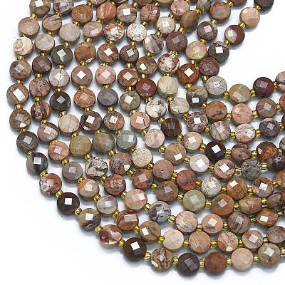 Natural Bloodstone Beads Strands G-K389-B59-01-1