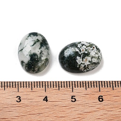 Natural Tree Agate Cabochons G-G145-01B-54-1