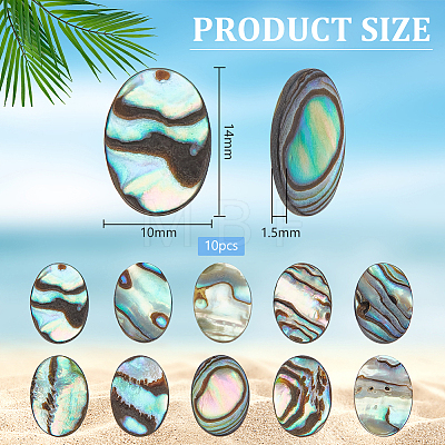 BENECREAT 10Pcs Natural Paua Shell Cabochons FIND-BC0005-55-1