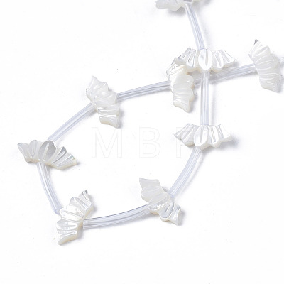 Natural White Shell Beads Strands SSHEL-S278-120A-1