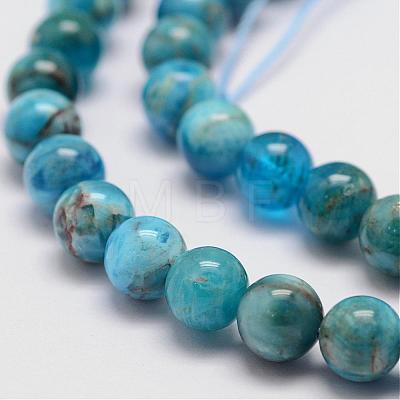 Natural Apatite Beads Strands G-D856-01-6.5mm-1