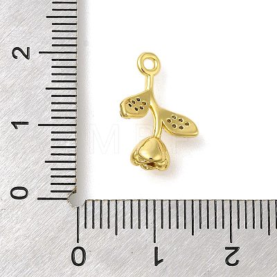 Rack Plating Brass Micro Pave Cubic Zirconia Pendants KK-S396-48G-1