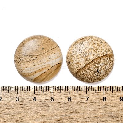 Natural Picture Jasper Cabochons G-B085-02A-07-1