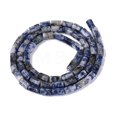 Natural Blue Spot Jasper Beads Strands GG-N002-01A-25-1