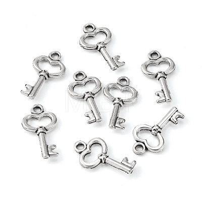 Gifts Ideas for Her Tibetan Style Alloy Charms LF11975Y-NF-1