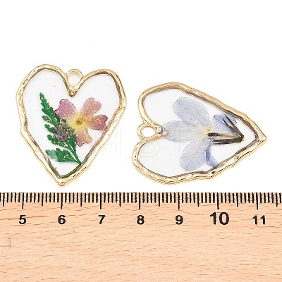 Alloy Epoxy Resin Pendants FIND-Z114-01G-02-1