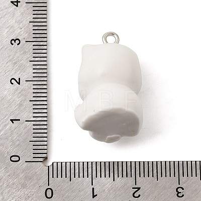Opaque Resin Pendants RESI-P051-02P-M-1
