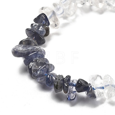 Natural Quartz Crystal & Iolite Beads Strands G-L610-A30-01-1