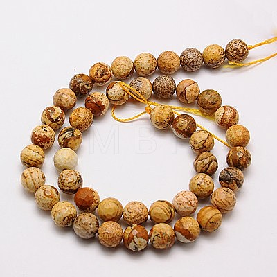 Natural Picture Jasper Beads Strands G-G542-8mm-08-1