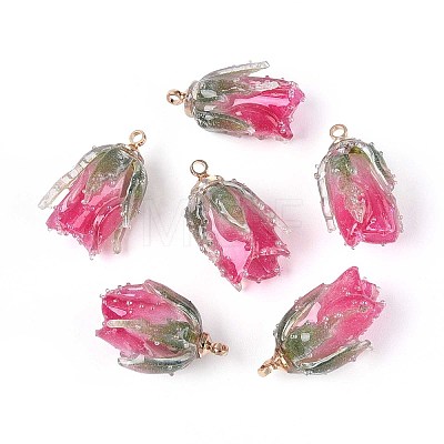 Transparent Acrylic Pendants SACR-T017-53C-1