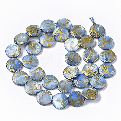 Drawbench Freshwater Shell Beads Strands SHEL-T014-012A-1