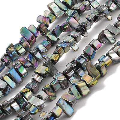 Natural Freshwater Shell Beads Strands BSHE-H018-07E-1