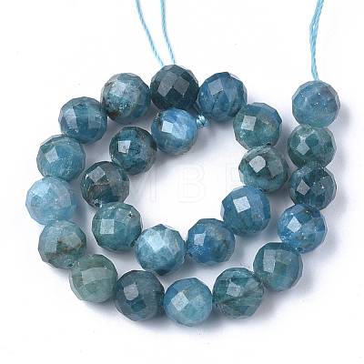 Natural Apatite Beads Strands G-S345-6mm-008-1