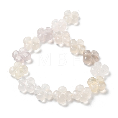 Natural White Agate Beads Strands G-P520-A01-01-1