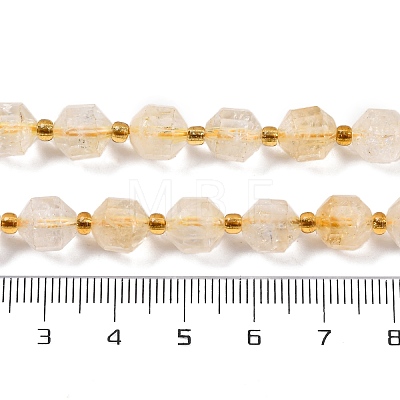 Natural Citrine Beads Strands G-C171-D02-02-1