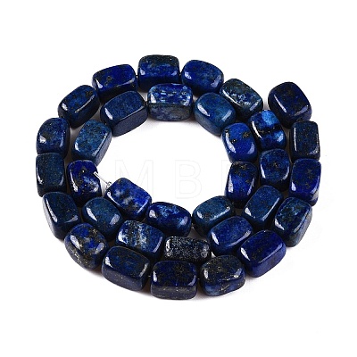 Natural Lapis Lazuli Dyed Beads Strands G-T138-173-1