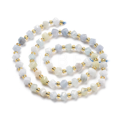 Natural Aquamarine Beads Strands G-P463-20-1