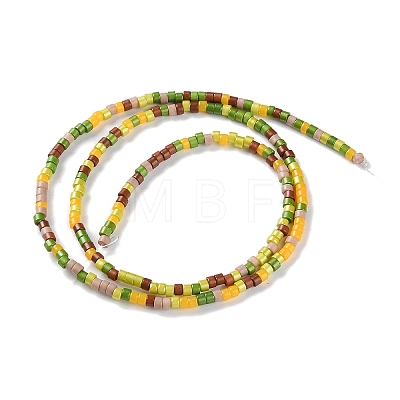 Handmade Czech Lampwork Beads Strands LAMP-L078-008H-1