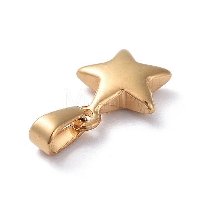 304 Stainless Steel Charms X-STAS-I127-067G-1