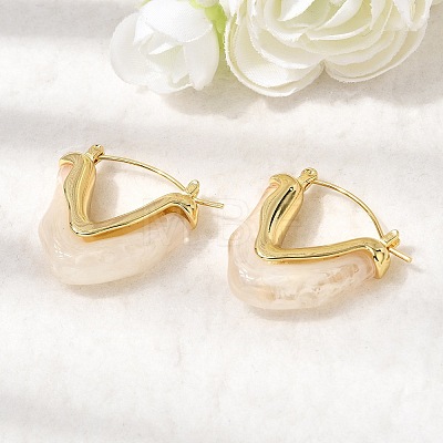 Brass Resin Hoop Earrings EJEW-P333-11A-G01-1