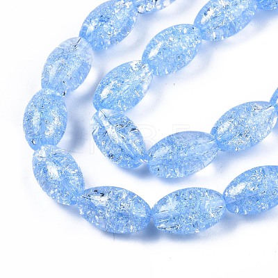Transparent Crackle Glass Beads Strands GLAA-S192-B-010C-1