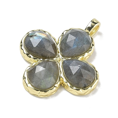 Natural LabradoriteFaceted Pendants G-A308-01G-14-1