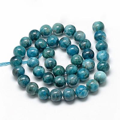 Natural Apatite Beads Strands G-R446-10mm-11-1
