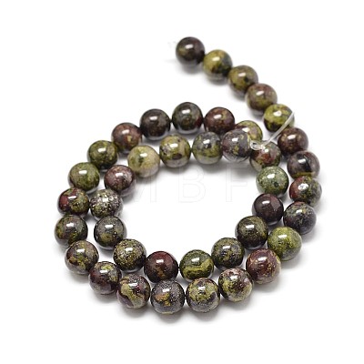 Natural Bloodstone Round Beads Strands G-P075-04-8mm-1