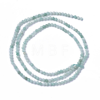 Natural Amazonite Beads Strands G-F596-01-2mm-1