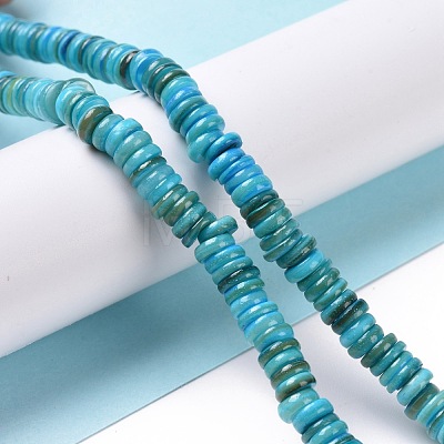 Shell Beads Strands SSHEL-E571-49J-1