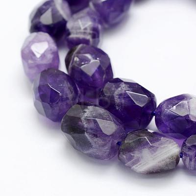 Natural Amethyst Beads Strands G-P322-45-1