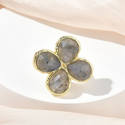 Natural Labradorite Faceted Adjustable Finger Rings for Women RJEW-A092-01G-12-1