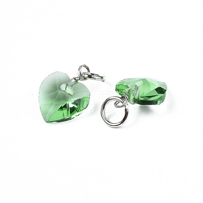 Faceted Transparent Glass Charms GLAA-T024-04G-1