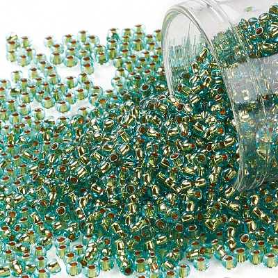 TOHO Round Seed Beads X-SEED-TR11-0755-1