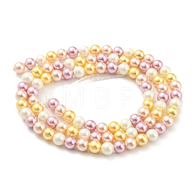Electroplated Natural Shell Beads Strands SHEL-F008-03A-05-1