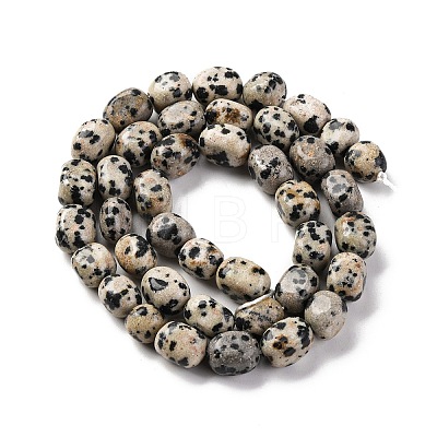 Natural Dalmatian Jasper Beads Strands G-G146-A24-01-1