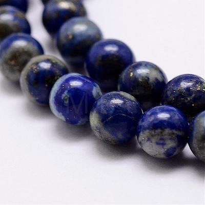 Natural Lapis Lazuli Beads Strands G-A163-07-12mm-1