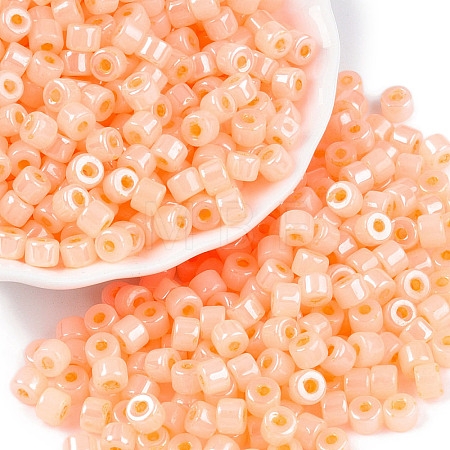 Glass Seed Beads SEED-T008-01C-1