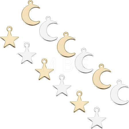304 Stainless Steel Charms STAS-UN0016-61-1