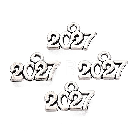 New Year's Day Tibetan Style Alloy Charms LS-FIND-N014-01AS-1